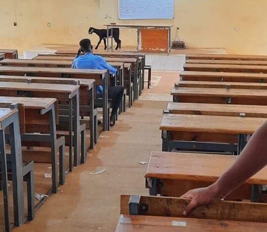 شاهد: ظهور"ماعز" يتجول داخل حرم جامعي يثير موجة من السخرية على منصات التواصل 1 جامعة ماعز