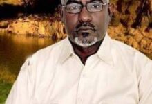 بعضٌ من حكاية الكَدِيسَة 24 عثمان أبوزيد