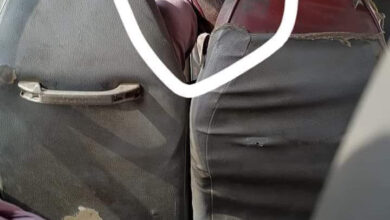 302201339 111956404975685 3240175605521446909 n