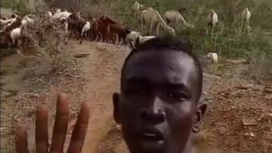 306167680 1244825139628526 8678289028649213858 n