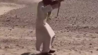 307214108 1230819631034931 1696075818126853800 n