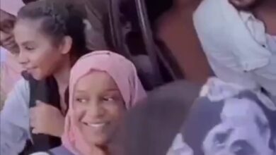 308535458 658674665514938 5059919395269521983 n