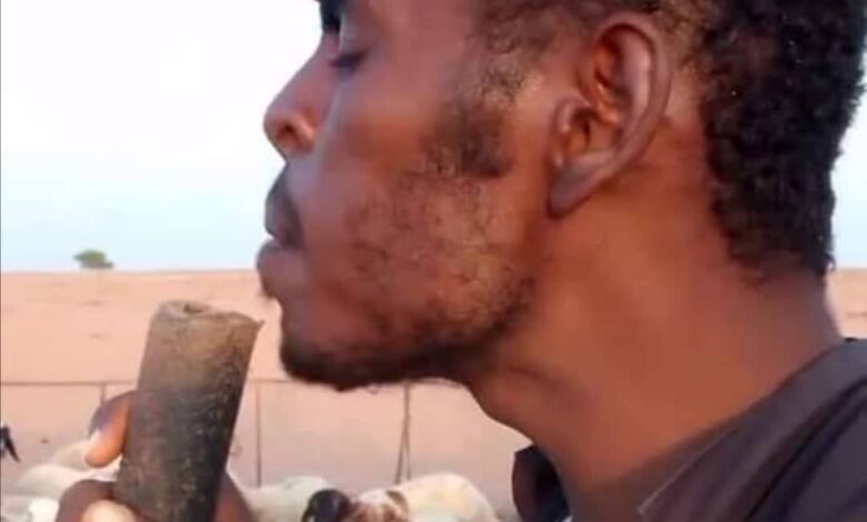 شاهد بالفيديو.. أشهر راعي سوداني بالسعودية يشارك أغنامه (الونسة) ويطالب زملائه باتباع أسلوبه (مافي حل غير تتونس مع البهائم عشان تملأ برنامجك) 1 راعي اغنام