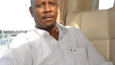 محمد حامد جمعة نوار