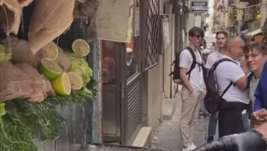 305034012 1467101307126943 3571158627155042955 n