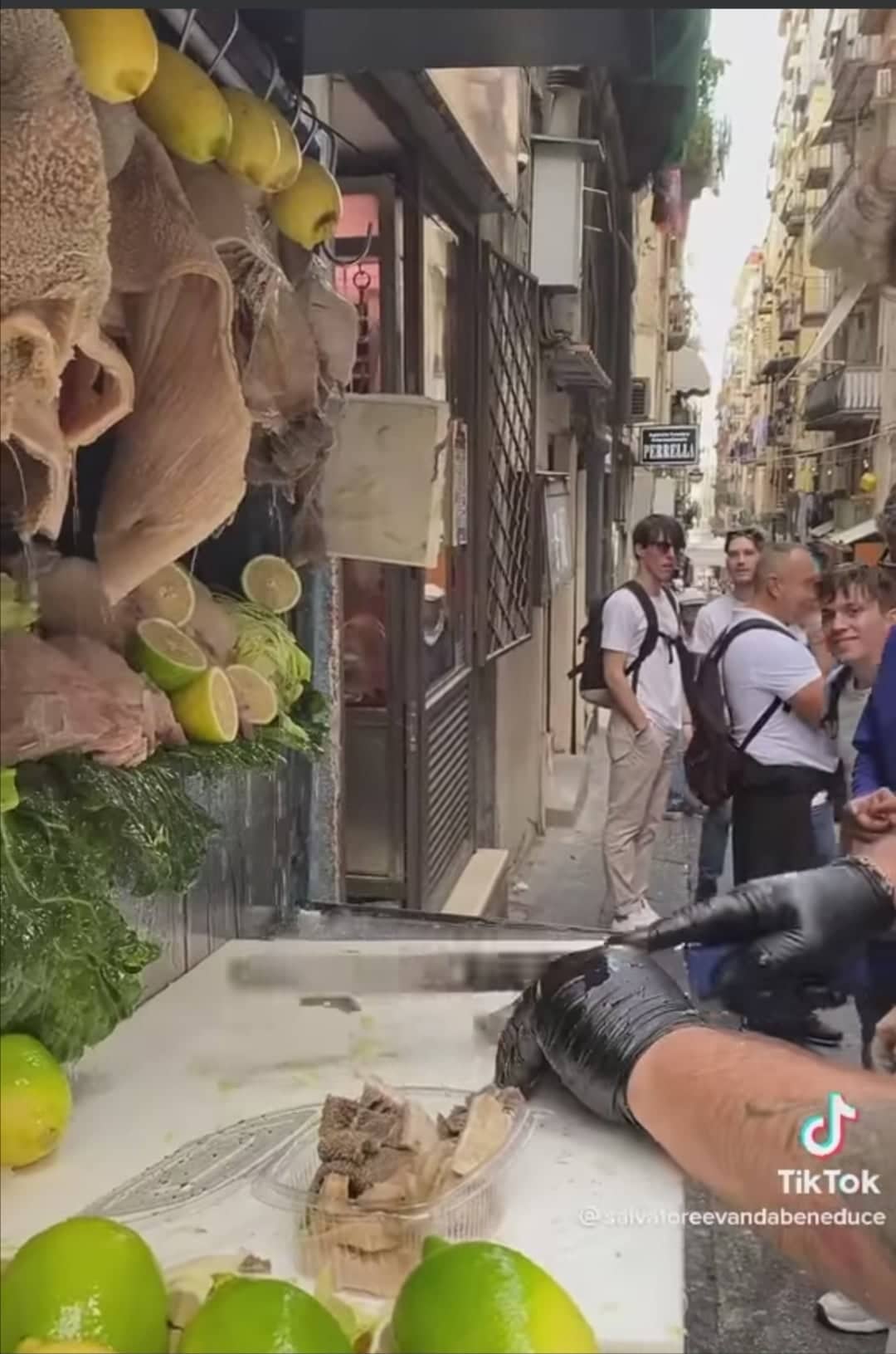 305034012 1467101307126943 3571158627155042955 n