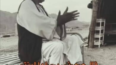 309393493 771450750804788 7261736277526490074 n