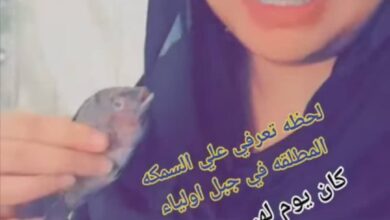 309440639 525714425727850 3488809959454176560 n