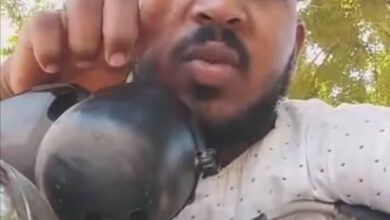 310226266 559647389261623 7288133078701403322 n