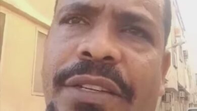 310541595 647670630278792 3567978270800868154 n