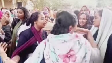 310605852 3130457873910964 1071052546397425238 n