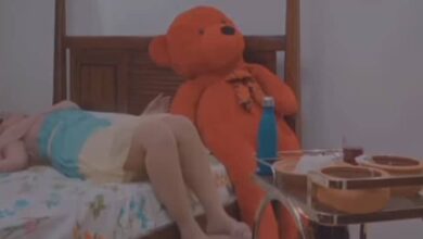 310700953 490015843043593 5514452372963441792 n