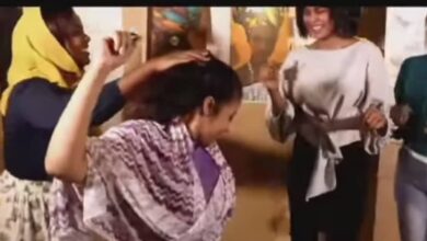 310708481 6358136630869884 3944779463574818415 n