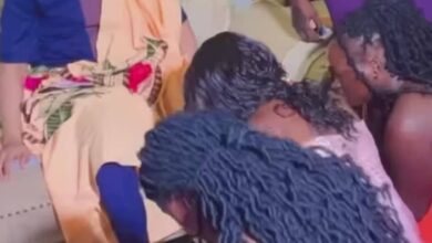 311393070 635665351444005 622543357372202231 n