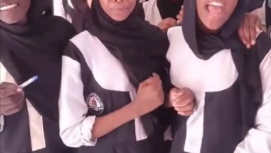 311406467 1448847042260484 2133025127360496418 n