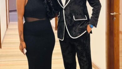 311617411 178220094877432 7757059366213219508 n