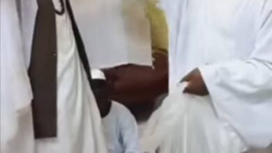 311866038 455619459766525 373333809509467464 n