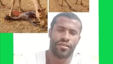 312629677 1120608061904927 795177490453623781 n