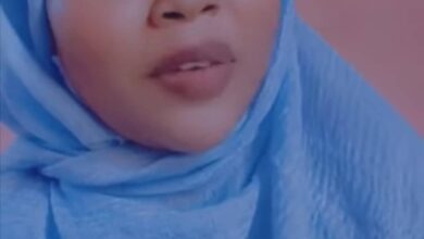 313021536 6284984908212364 3368368304797417091 n