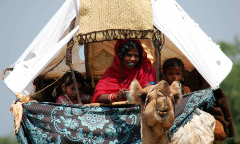 "الشبرية"... منزل سوداني على ظهور الإبل 1 638111 488199776