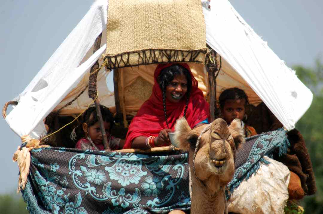 "الشبرية"... منزل سوداني على ظهور الإبل 10 638111 488199776