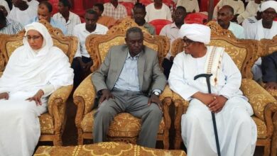 صلح الهواوير والجموعية