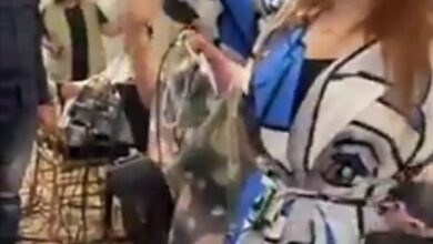 314541792 5801232623266978 5288568253510990321 n