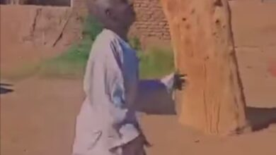 314931006 865832564444074 8514757744666340036 n