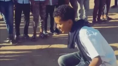 316129453 488069359802195 3096013920597901655 n