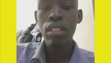 316477272 1291120845038725 9059937776239674718 n