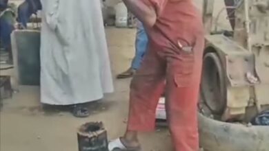 316497743 644177960831474 1405979485419227829 n