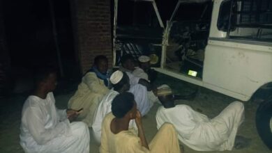 317695622 5695156243904583 5148168277882006567 n