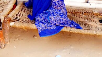 320235019 1599459287191246 5269951468627834975 n