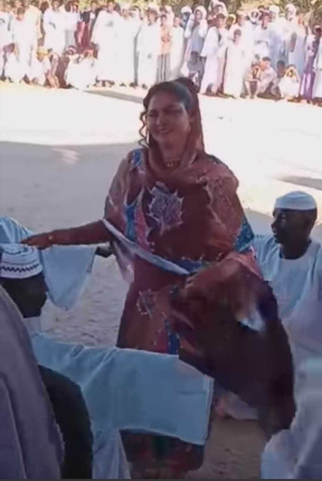 شاهد بالصورة والفيديو.. راقصة حسناء تشعل حفل "طمبور" سوداني بوصلة رقص مثيرة وملفتة مع "الكورس" والجمهور: (شوايقة والبلد رايقة) 10 320543185 1160839914802804 6053848869882111297 n