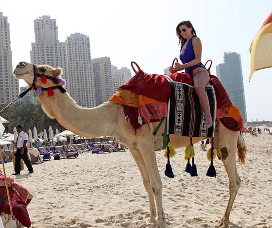 شاهد بالفيديو.. فتاة سودانية حسناء تركب على ظهر الجمل بشجاعة كبيرة وباعتراف صديقاتها الحاضرات 1 tomas 03