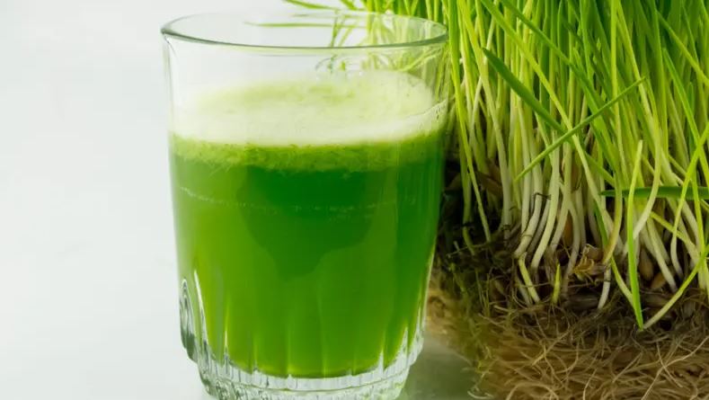 عصير البرسيم يثير الغضب في مصر 10 عصير.