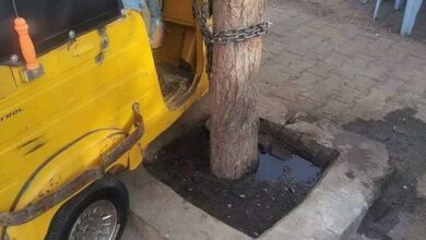 323058617 560625328998588 7677219914329050960 n