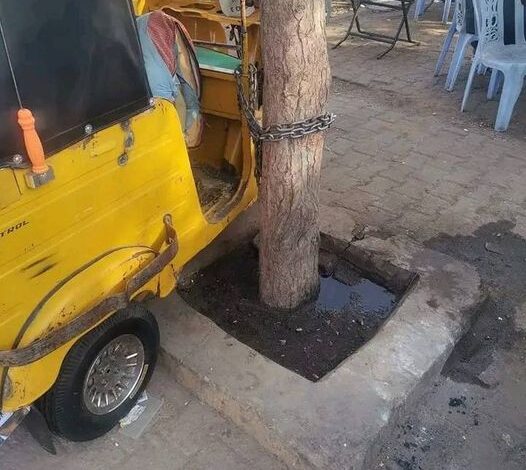 شاهد بالصورة.. في لقطة طريفة مواطن سوداني يذهب لوجبة "الفطور" ويقوم بربط "الركشة" التي يعمل بها على أحد الأشجار خوفاً عليها من السرقة 1 323058617 560625328998588 7677219914329050960 n