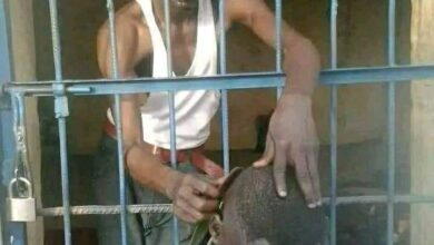 323417851 543196964419118 249165934410552133 n