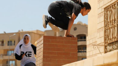 d488c5f2 677d 43db 8887 9862bdf82067