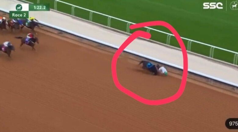 شاهد بالفيديو : لحظة سقوط الفرس والخيال قبل خط النهاية في ميدان الملك عبدالعزيز بالرياض 1 download