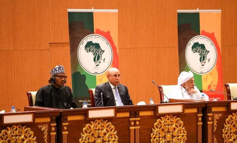 المؤتمر الأفريقي لتعزيز السلم يوصي باستلهام نموذج الإمارات في التسامح والتعايش 1 image 1