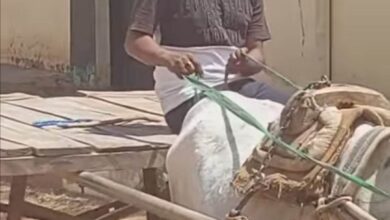 326526214 744796147080922 1346954132958850192 n