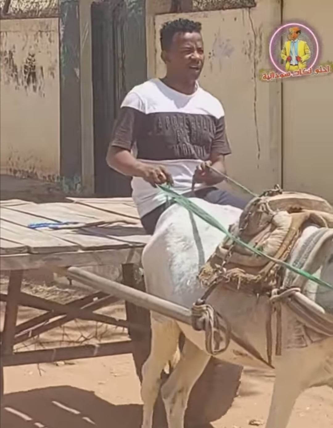 شاهد بالصورة والفيديو.. الفنان صلاح ولي يواصل أفعاله الغريبة ويتجول داخل الأحياء وهو يقود "كارو" وينادي على أصحاب المنازل (خرد وسراير) 10 326526214 744796147080922 1346954132958850192 n