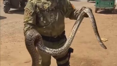 329325767 792509498482402 5452250149012883666 n