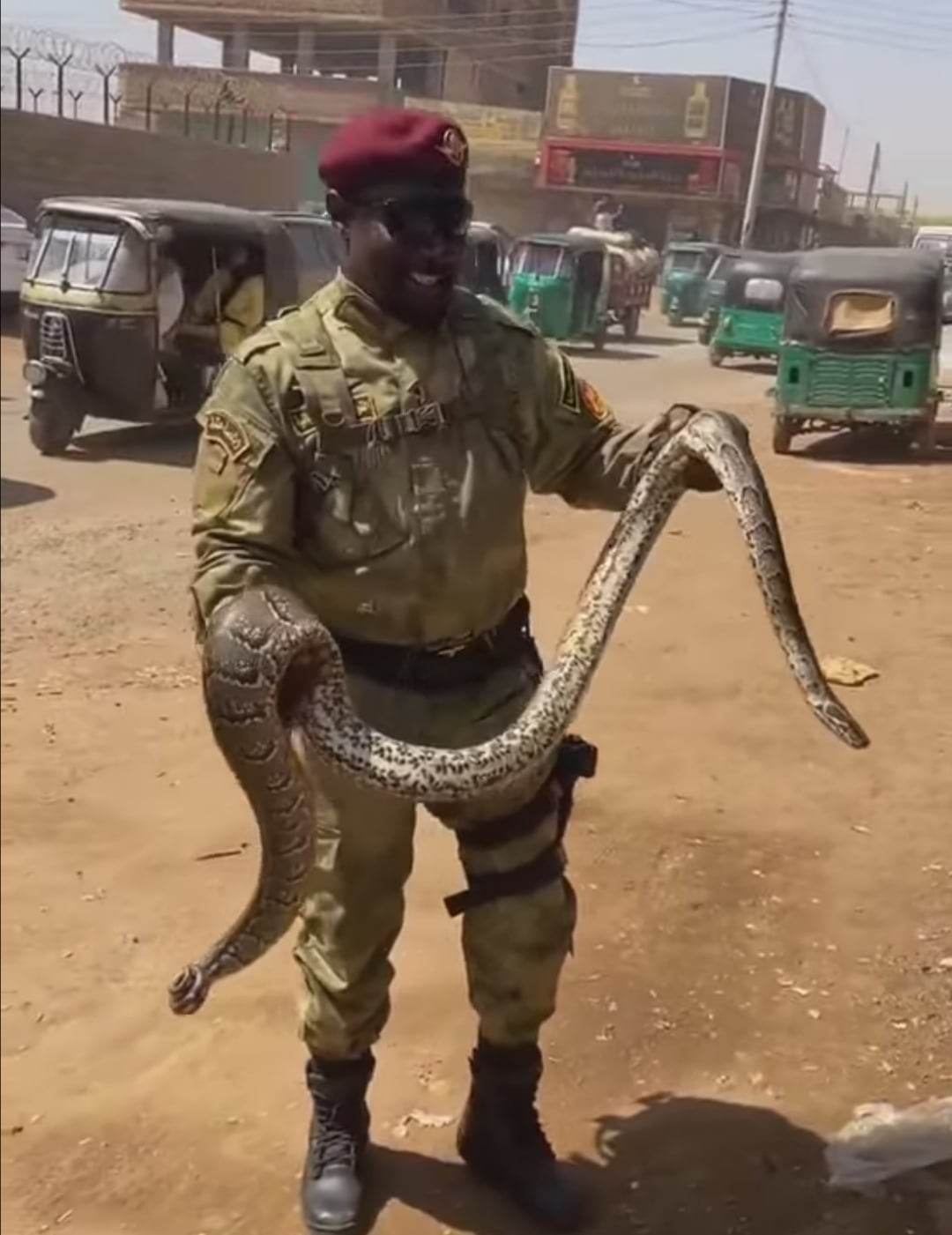 شاهد بالصورة والفيديو.. نظامي بقوات الصاعقة السودانية يُثير الدهشة في الشارع العام بإخراجه ثعبان "أصلة" ضخم من حقيبة دراجته البخارية 10 329325767 792509498482402 5452250149012883666 n