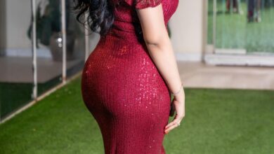 333697144 919462449246888 2041654035755525588 n