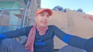 333877944 150353317512007 3744389190234832129 n