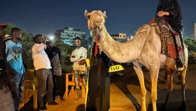 331441775 5816101555154374 3587073235515986166 n