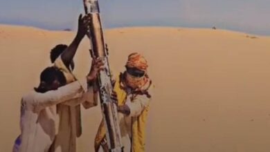 334731856 129243386533632 1313931242677823584 n